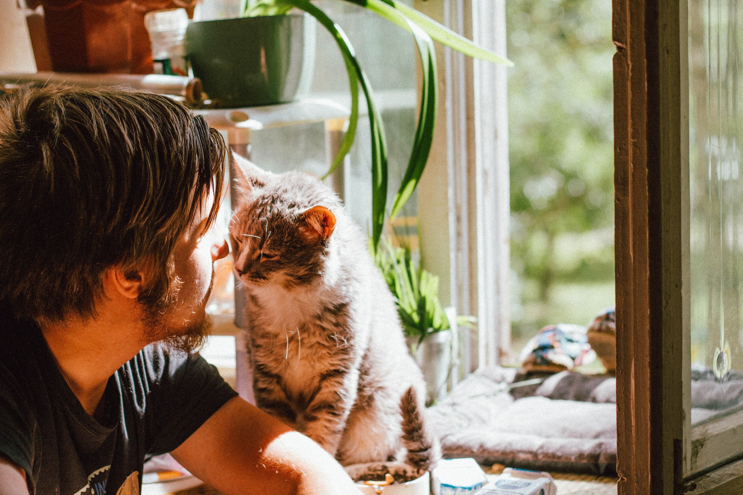 A man sitting with his cat, looking out the window