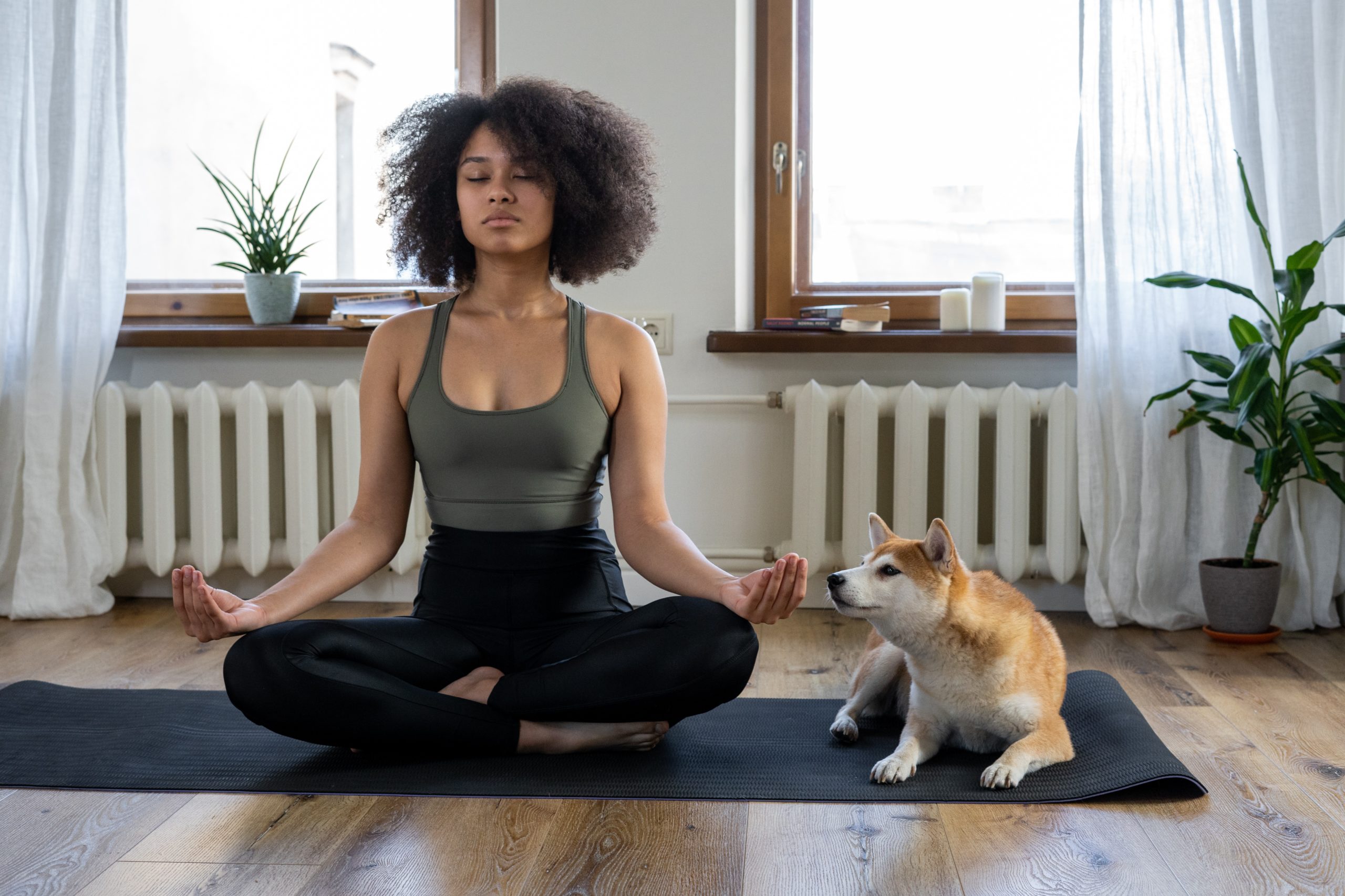 Woman practicing yoga in her apartment with her dog sitting next to her