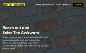 Seize the Awkward website image
