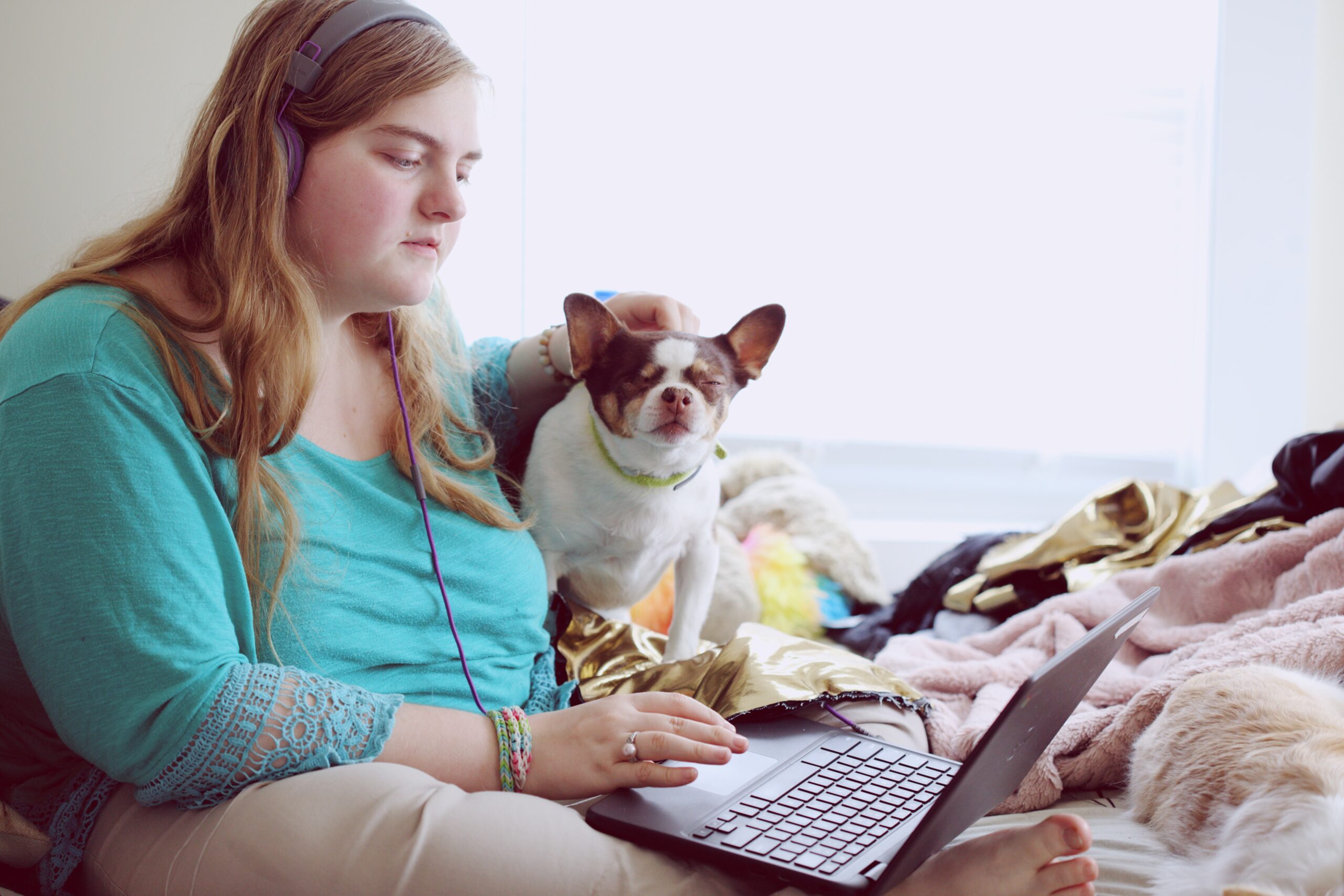 young woman sitting on bed with dog typing on computer